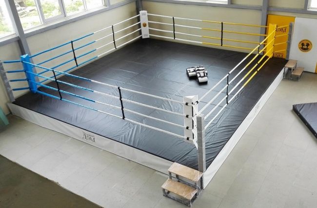 Ринг боксерский на подиуме Харламов-Спорт (размер в ассортименте)